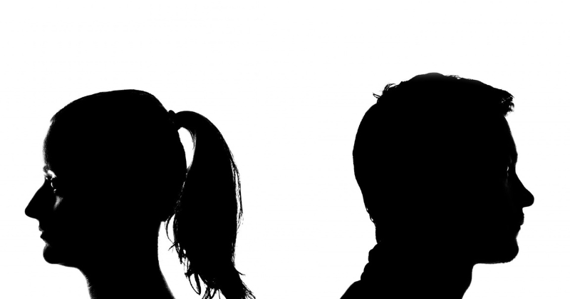 Family law specialists