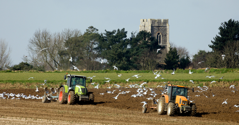 Farmland in Norfolk, representing divorce and family farms legal matters